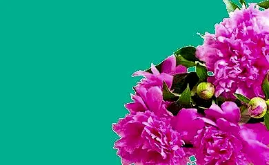offer banner