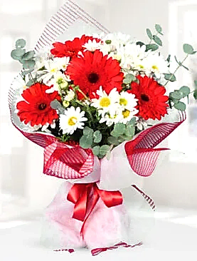 kırmızı gerbera papatya buket