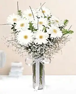 9 beyaz gerbera vazo