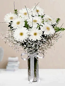 9 beyaz gerbera vazo