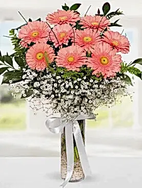 9 pembe gerbera vazo